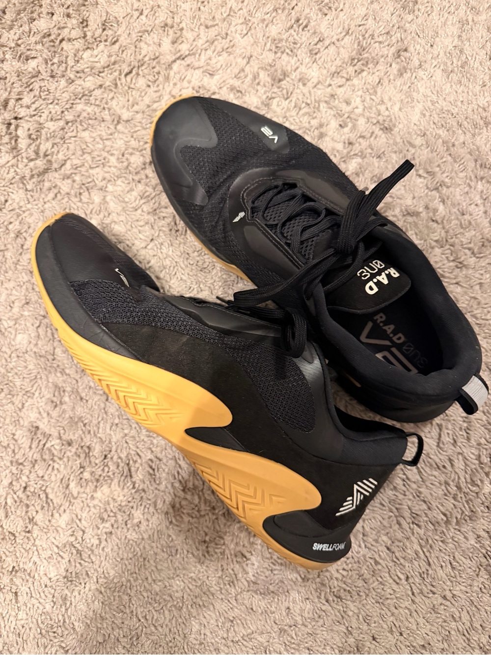 Rad Global V2 Trainer